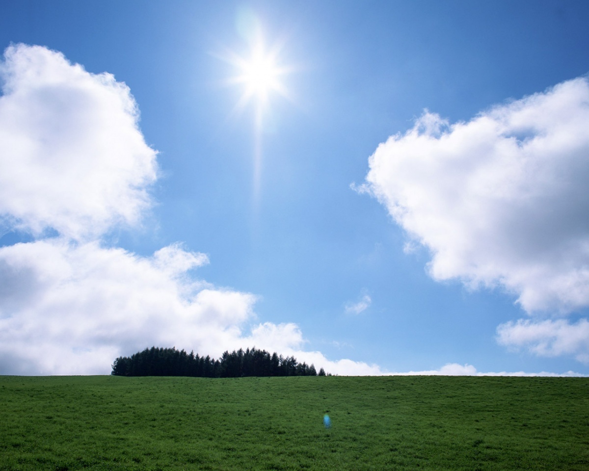 sun-shining-wallpapers_5553_1280x1024