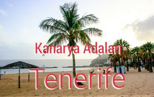 Kanarya Adaları: Tenerife Rehberi