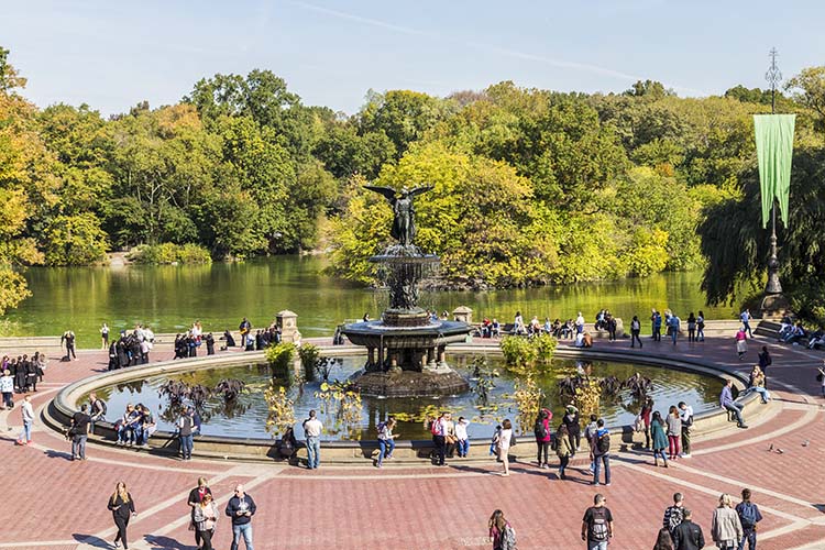Central Park, New York City - freepassenger